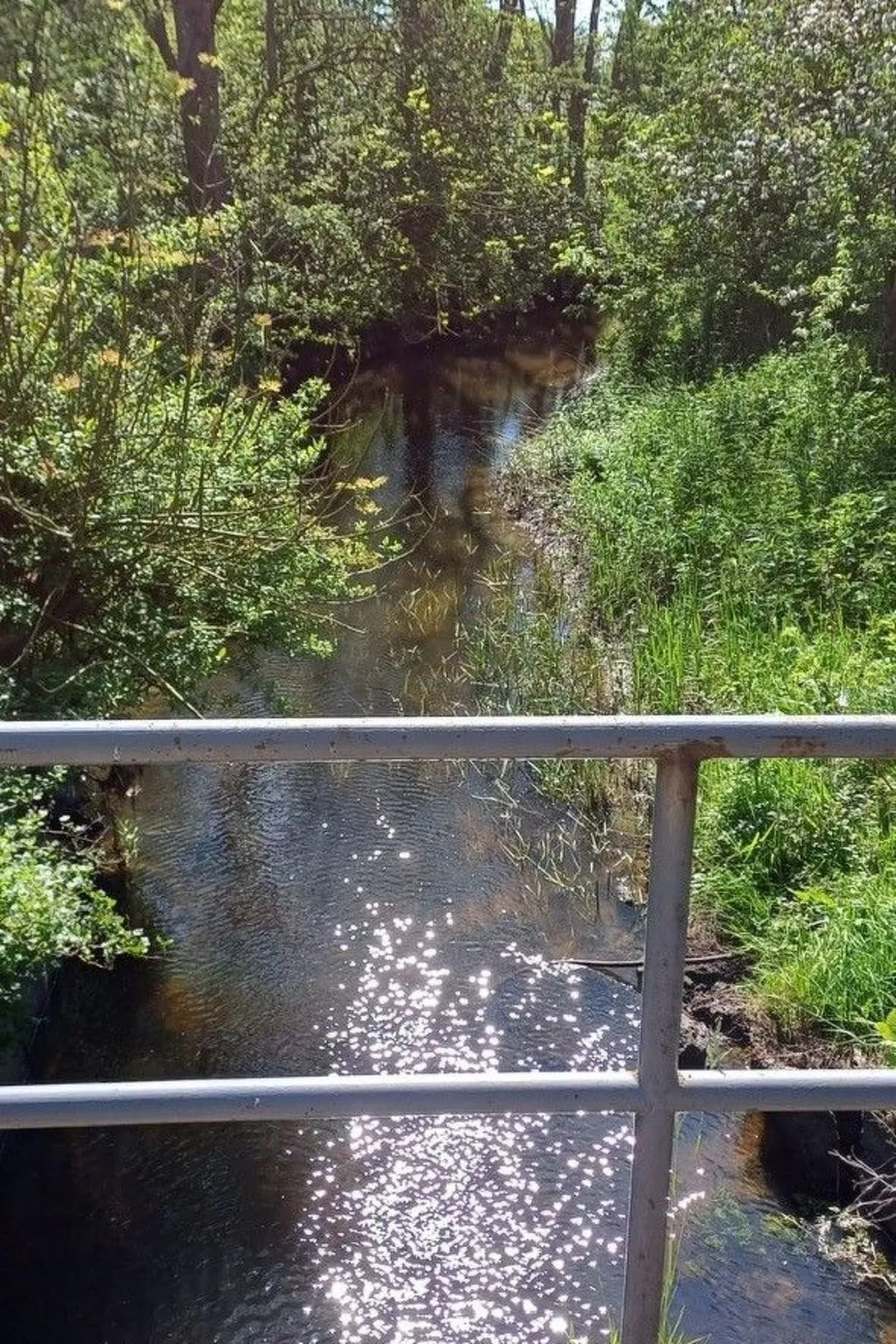 Möllis Ferienwohnung-Draußen