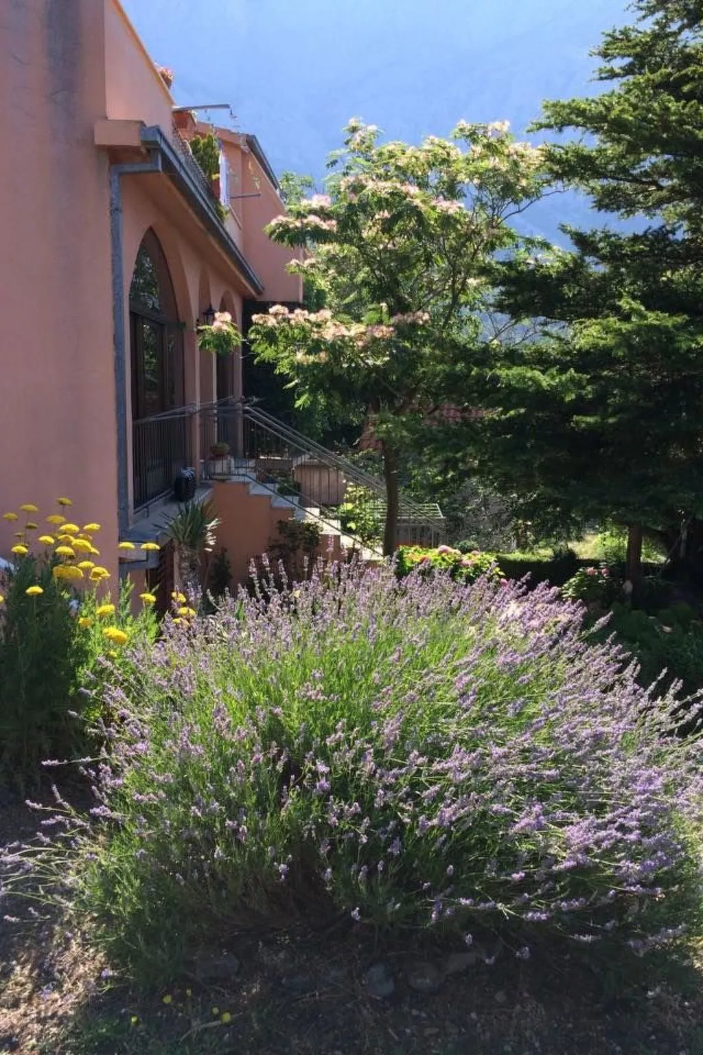 Bella Vista-Image-tags.info