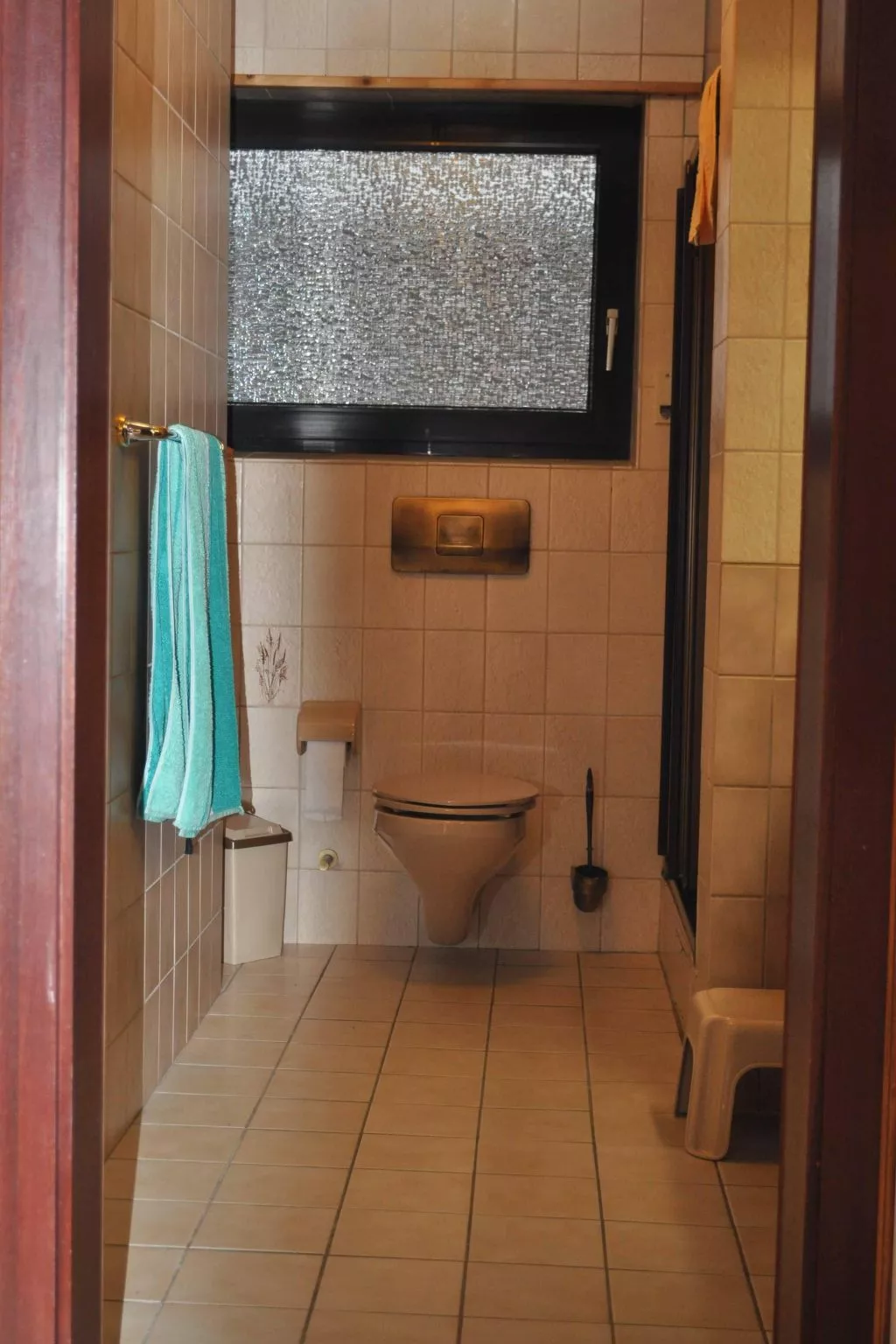 Seepferdchen-Drinnen