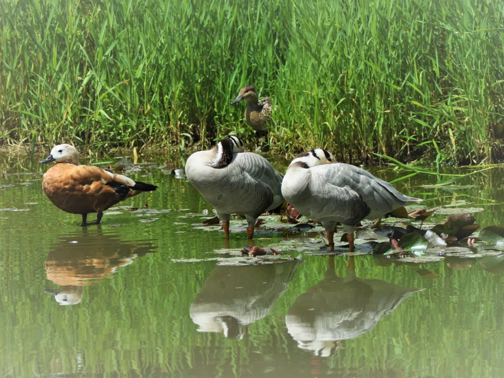 Für 8 Personen-Draußen