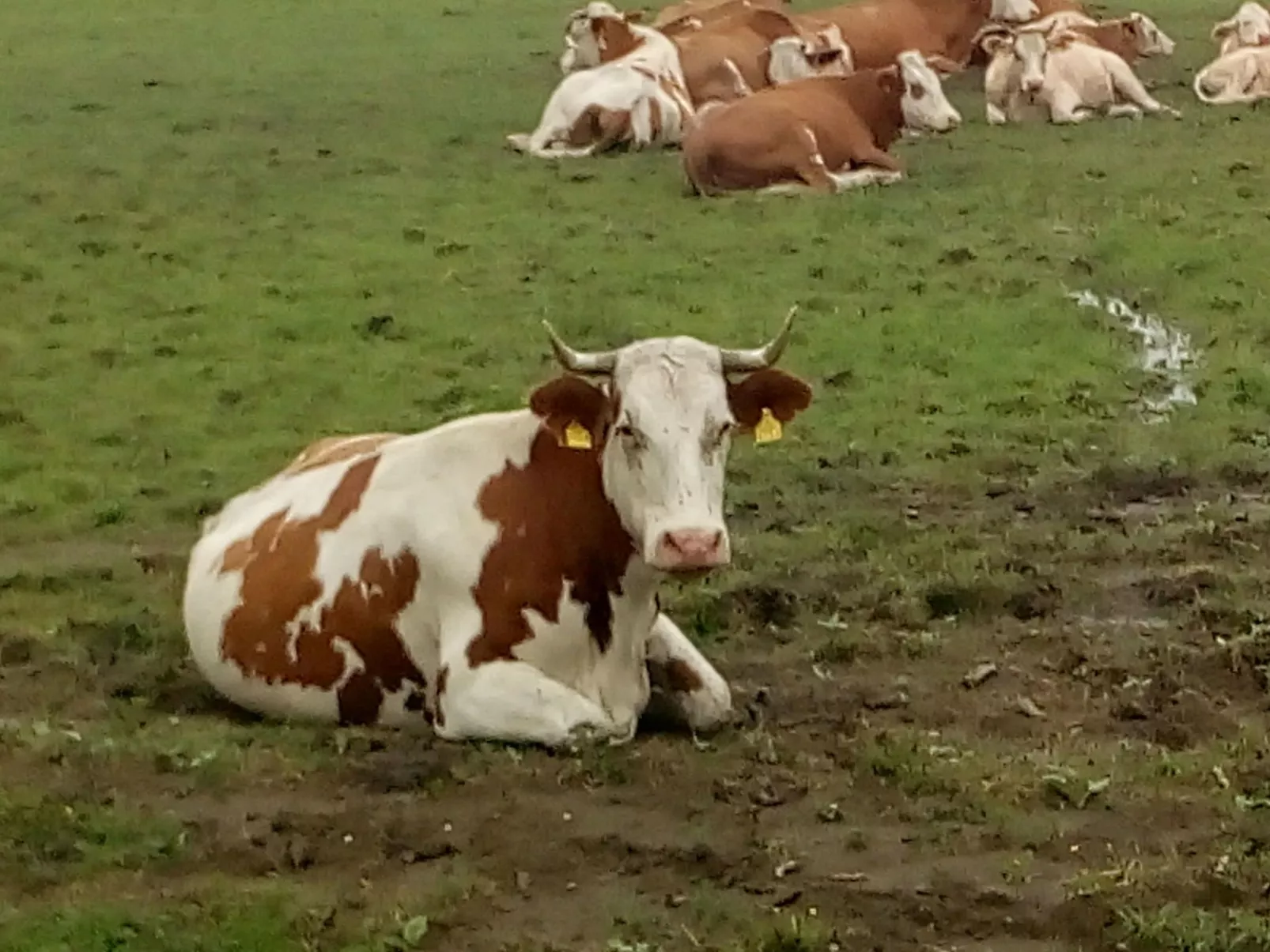 Ländlicher Tourismus-Draußen