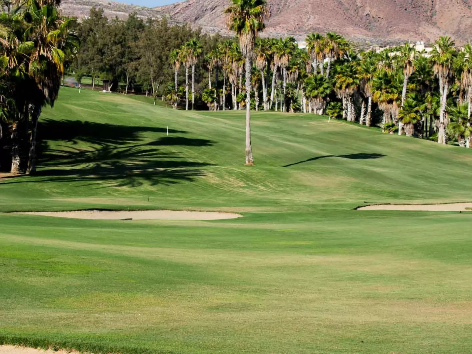 Wohnung mit botanischem Garten und Meerblick - Draußen