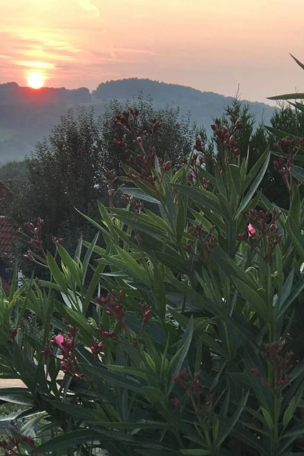 Appartement Spessart-Romantik-Dehors