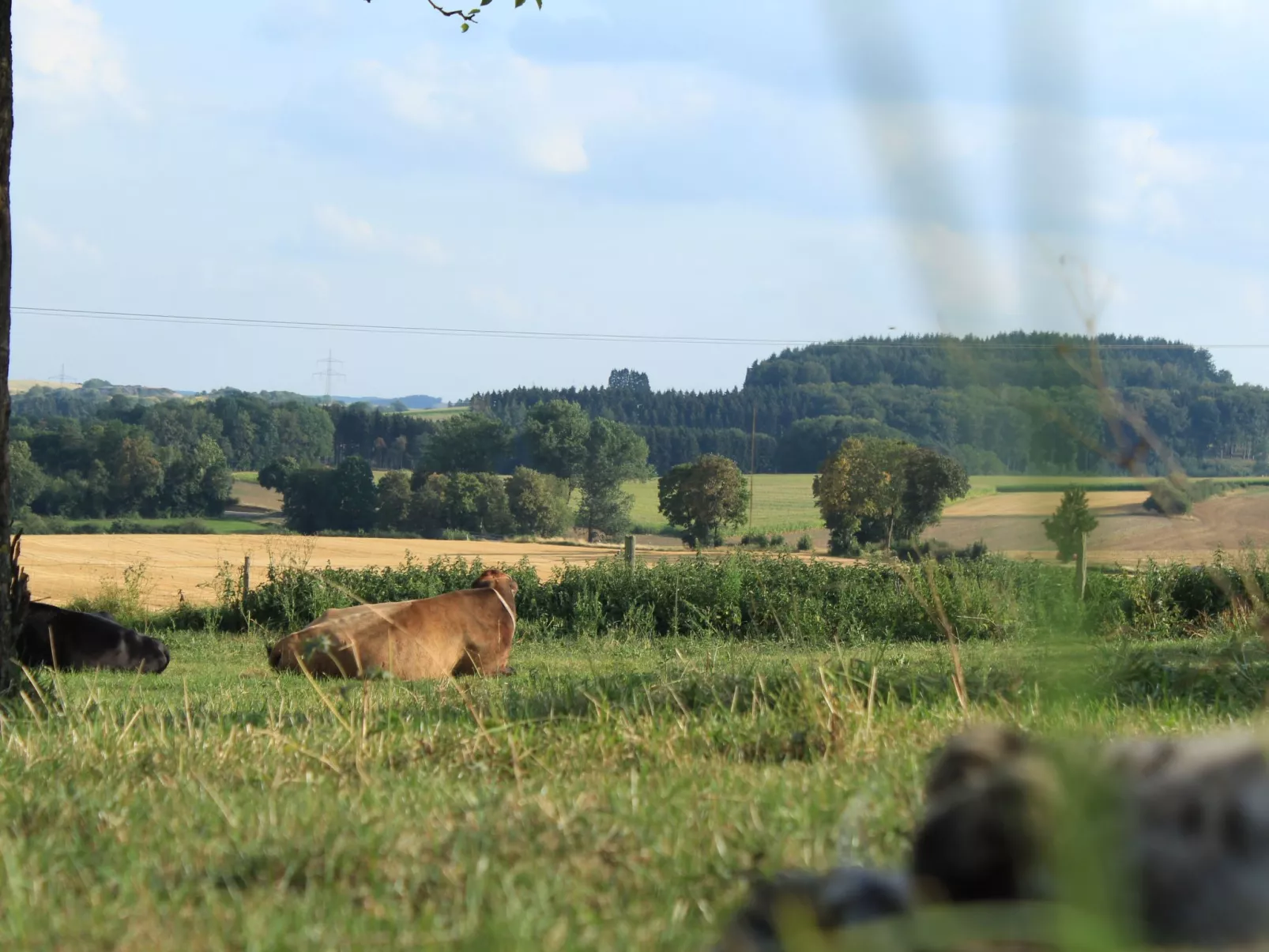 Fewo "Jut Stuff"-Draußen