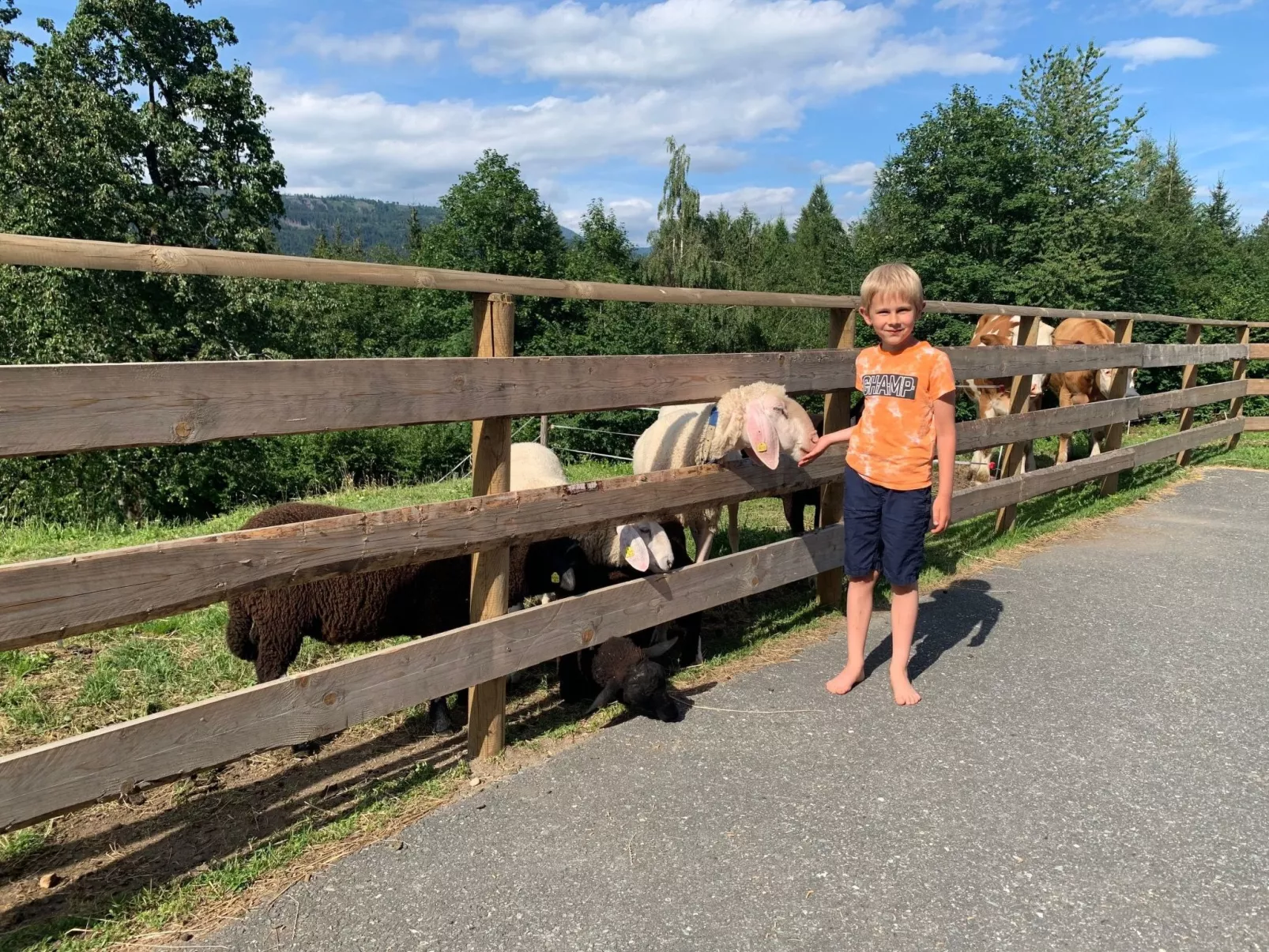 In Gemeinde Hermagor-Pressegger See mit Terrasse, Grill und Garten-Image-tags.info