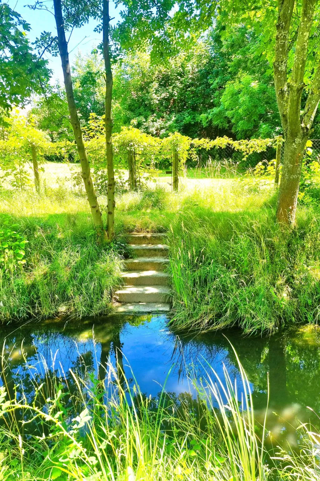 Familienfreundliche Wohnung im schönen Reisenberg