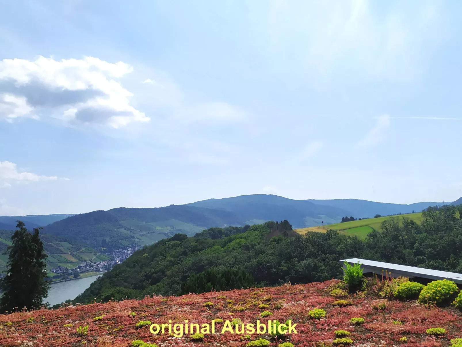 Appartement in Medenscheid mit Garten und Terrasse