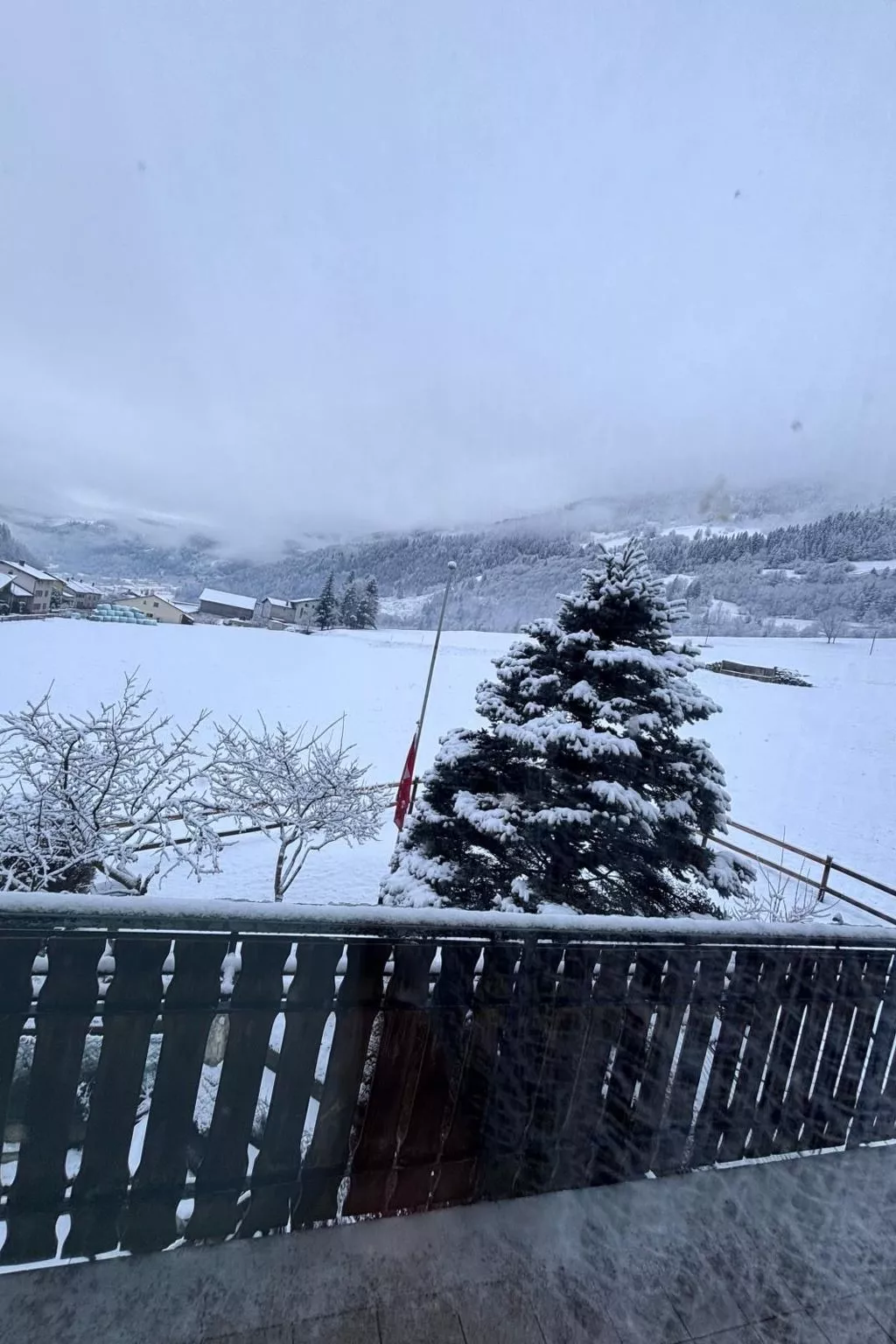 "Window on the grenn"