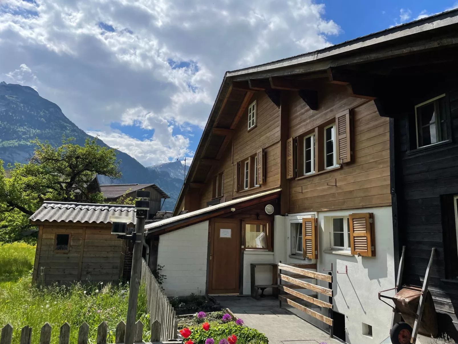 Alpine Home Streich