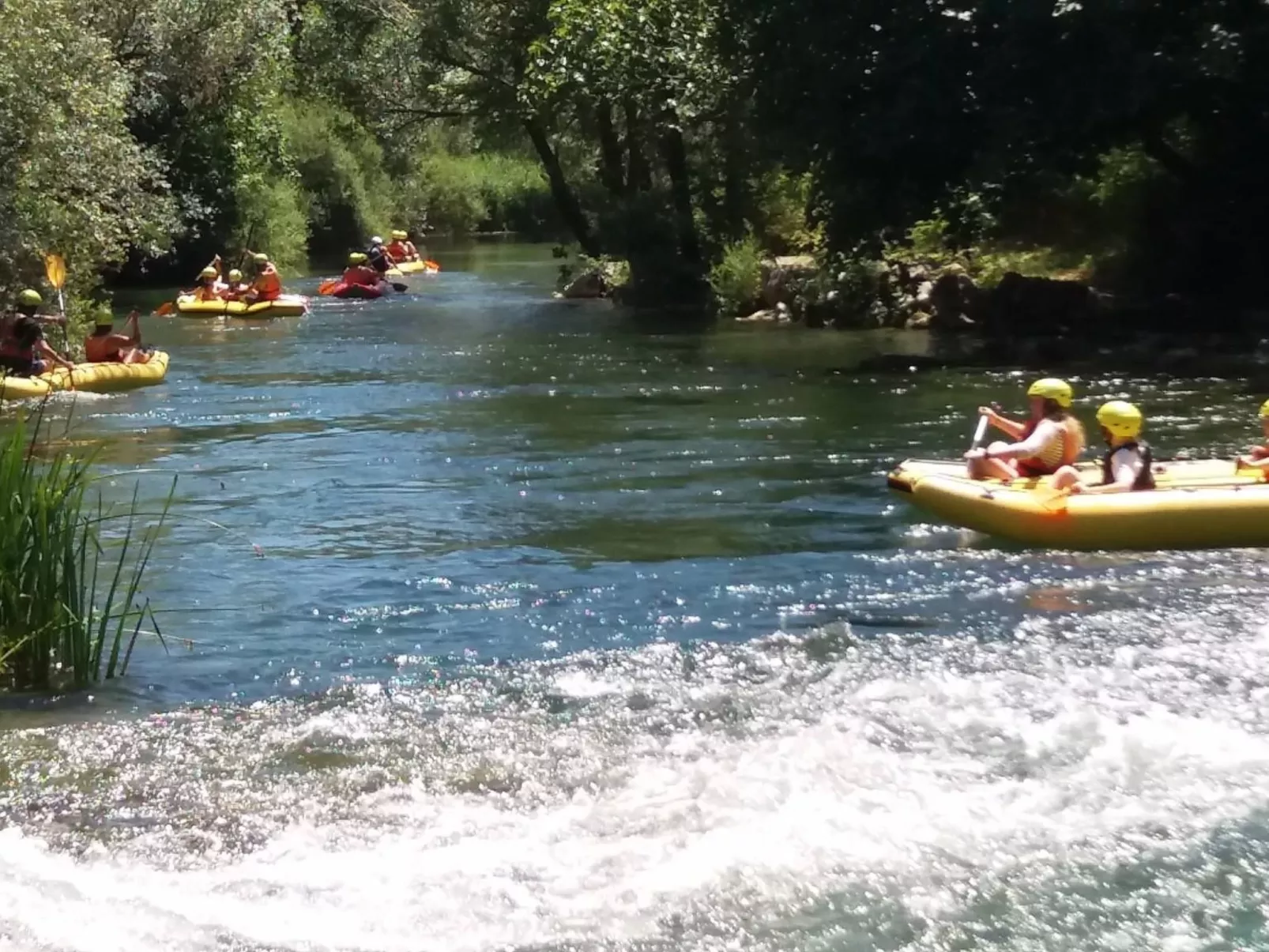 Villa Antea-Image-tags.info