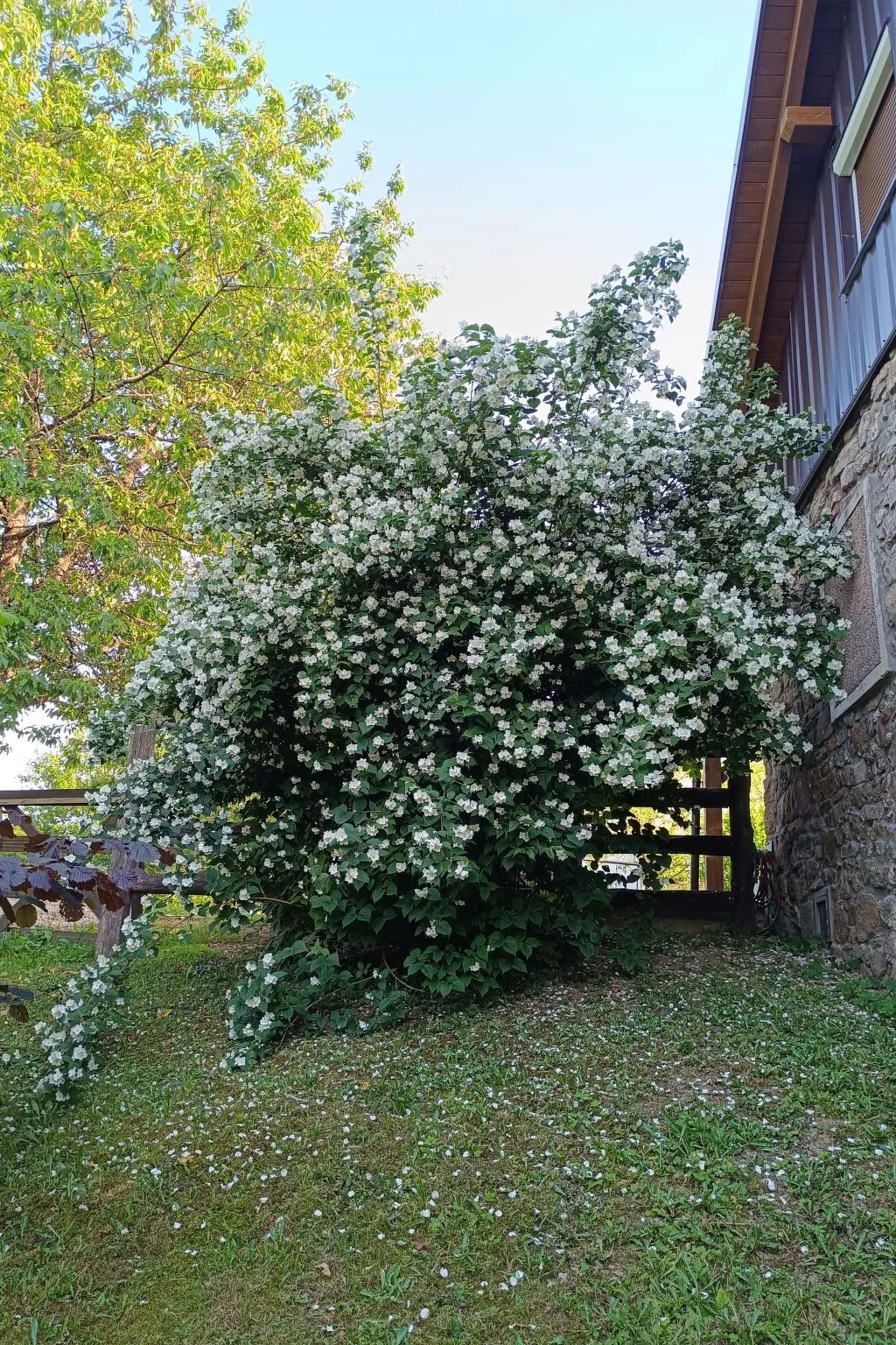 Haus in Sleme Skradsko mit Whirlpool und Parkplatz