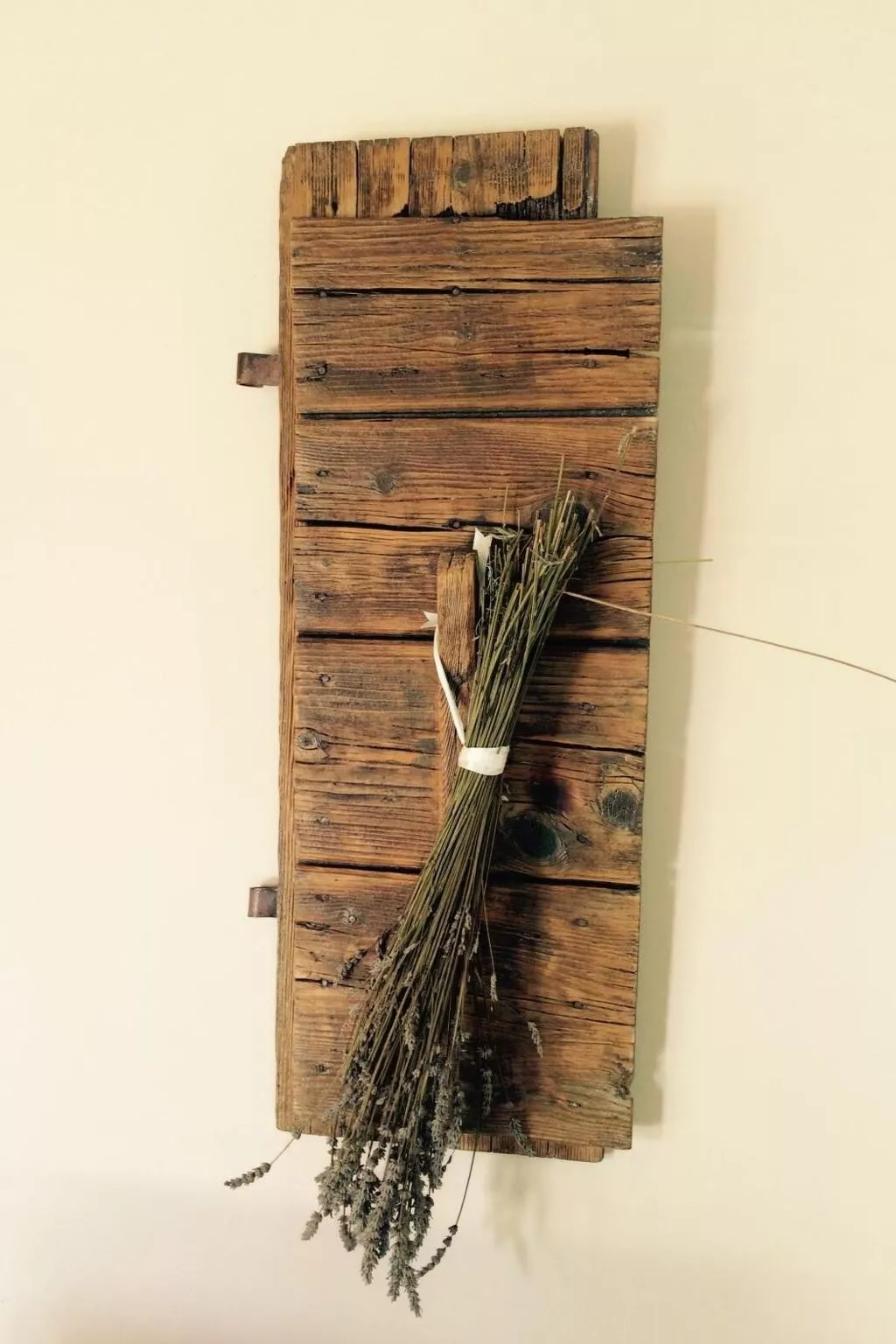 "Villa Ulika" mit eigenem Pool-Image-tags.info