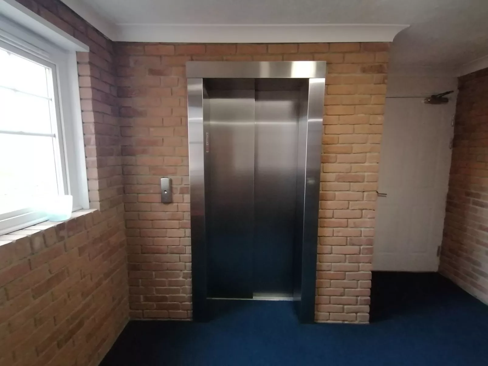 "Stewart" mit Blick auf das Wasser-Image-tags.info