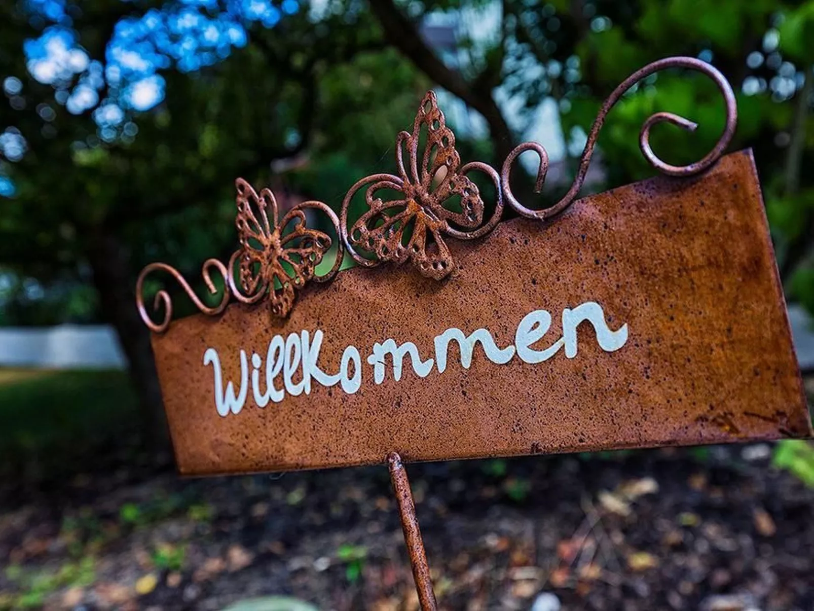 Zum Mensfelder Kopf-Dehors