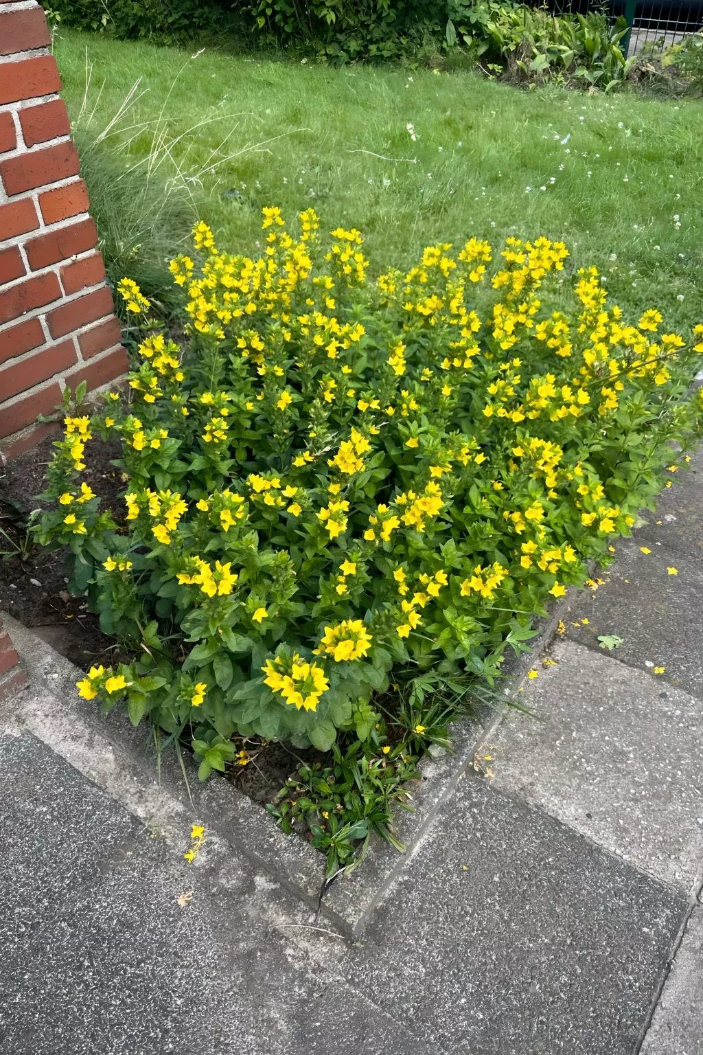 Ap. NeuenHOUSE I-Outside