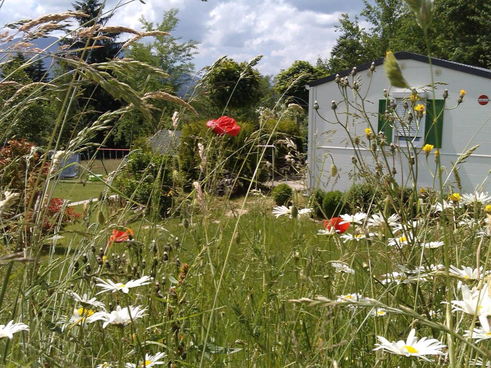 Wohnung Rozika-Image-tags.info