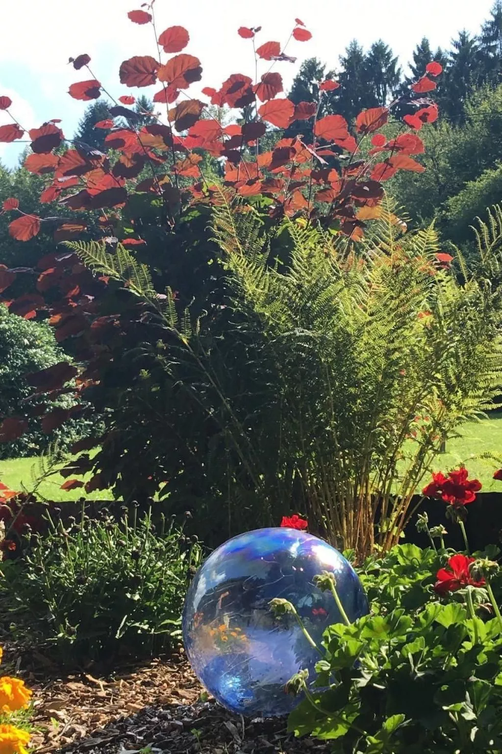 In Oberlahr mit Großem Garten-Dehors