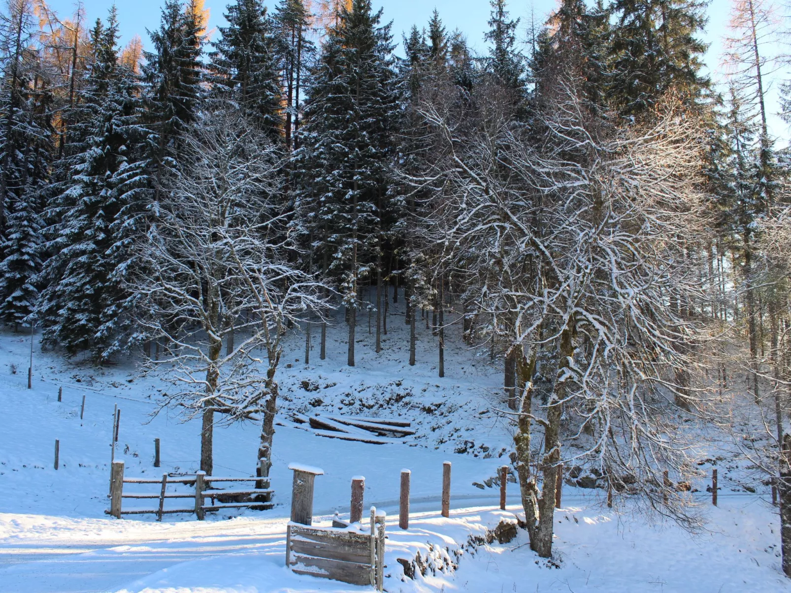Chalet Almidylle in Sankt Martin am Tennengebirge