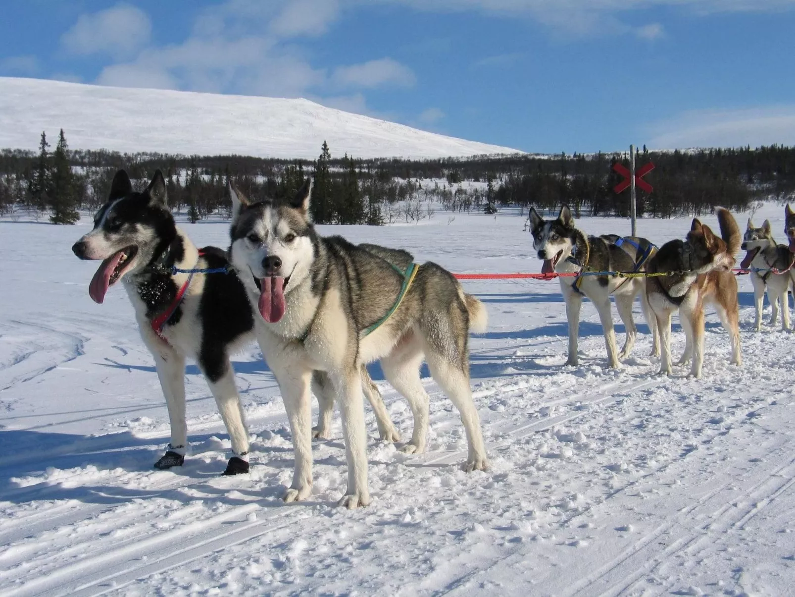Charmantes Blockhaus, Sauna und Kamin-Outside