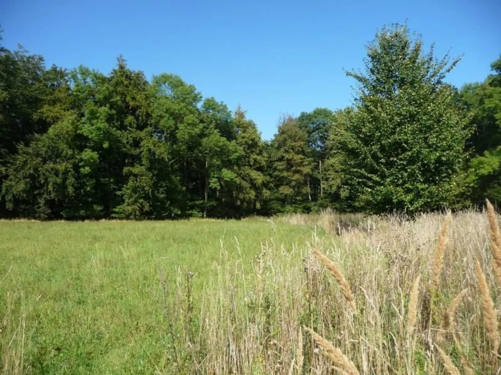 An den Tannen 31-Dehors