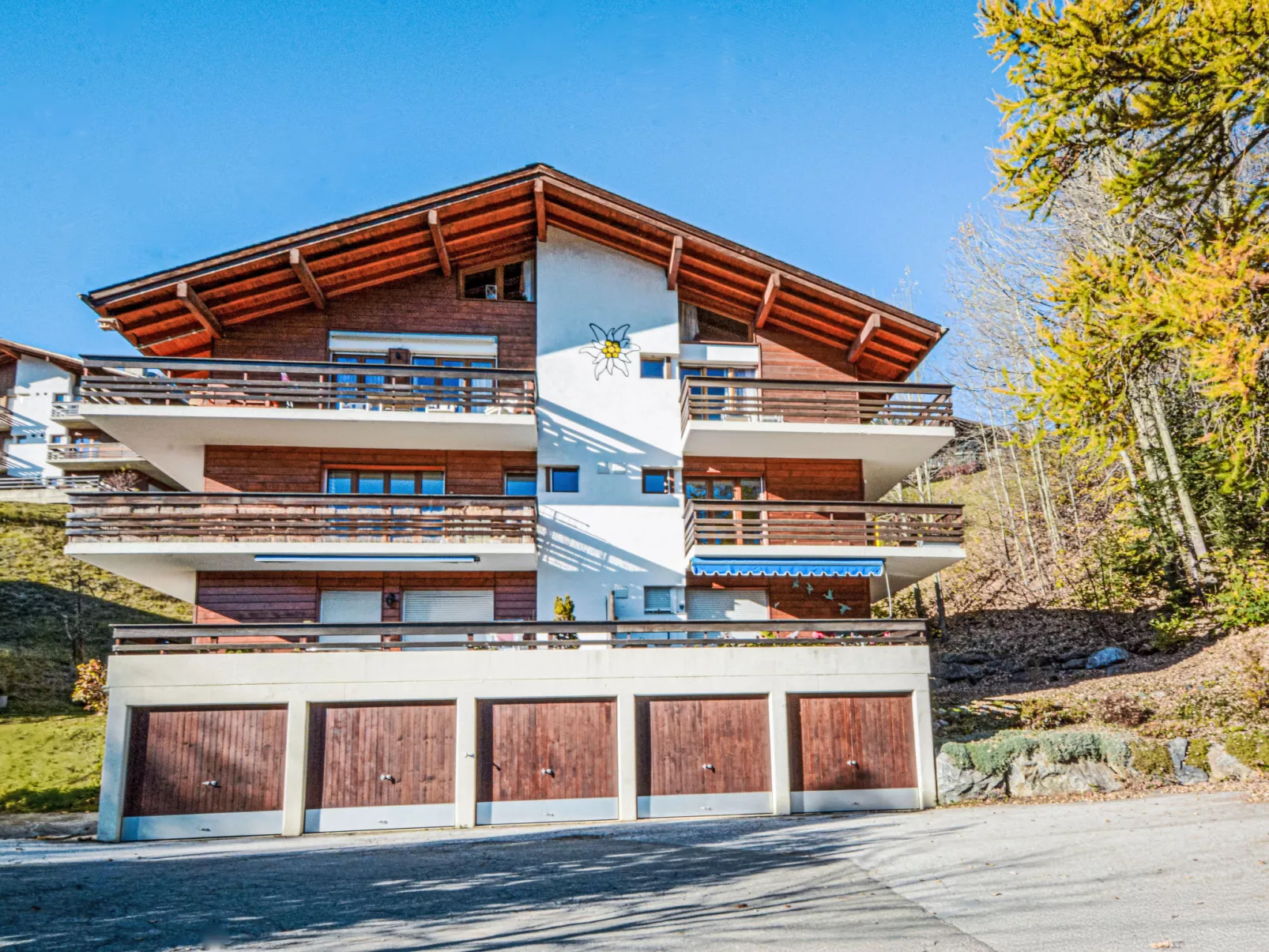 Ski-in Wohnung in Anzere mit Parkplatz