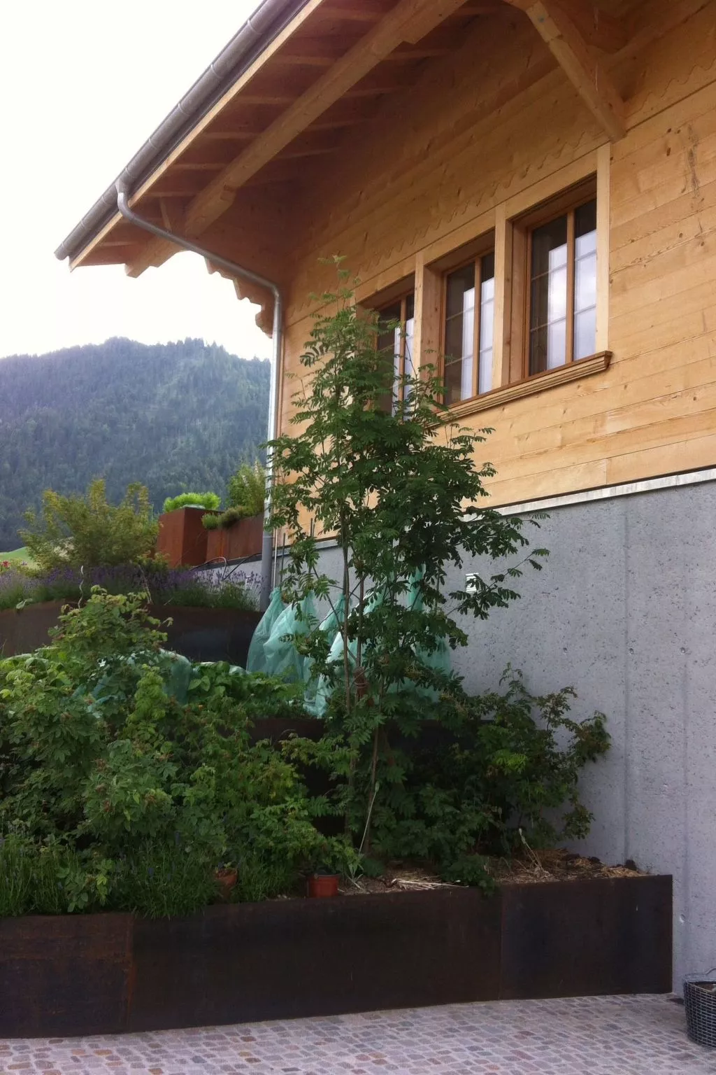 Chalet Park-Draußen