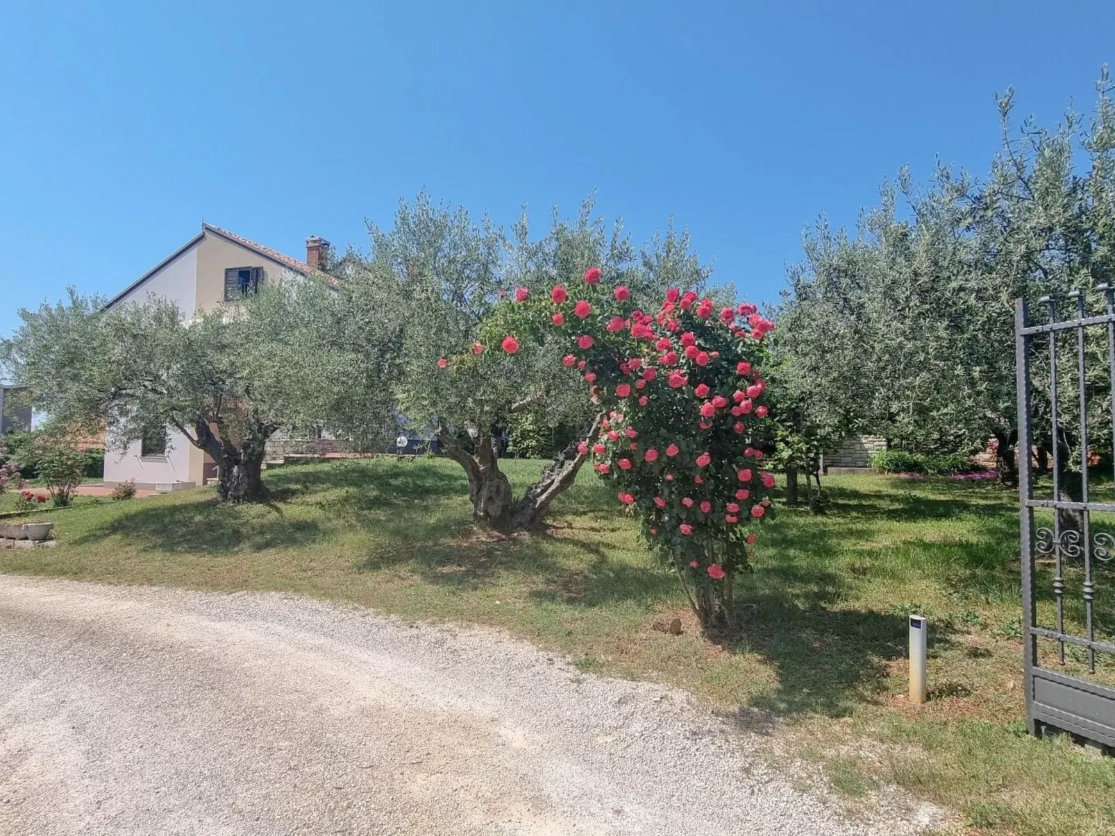 Einzimmerwohnung "Nadja 2" mit Terrasse-Draußen