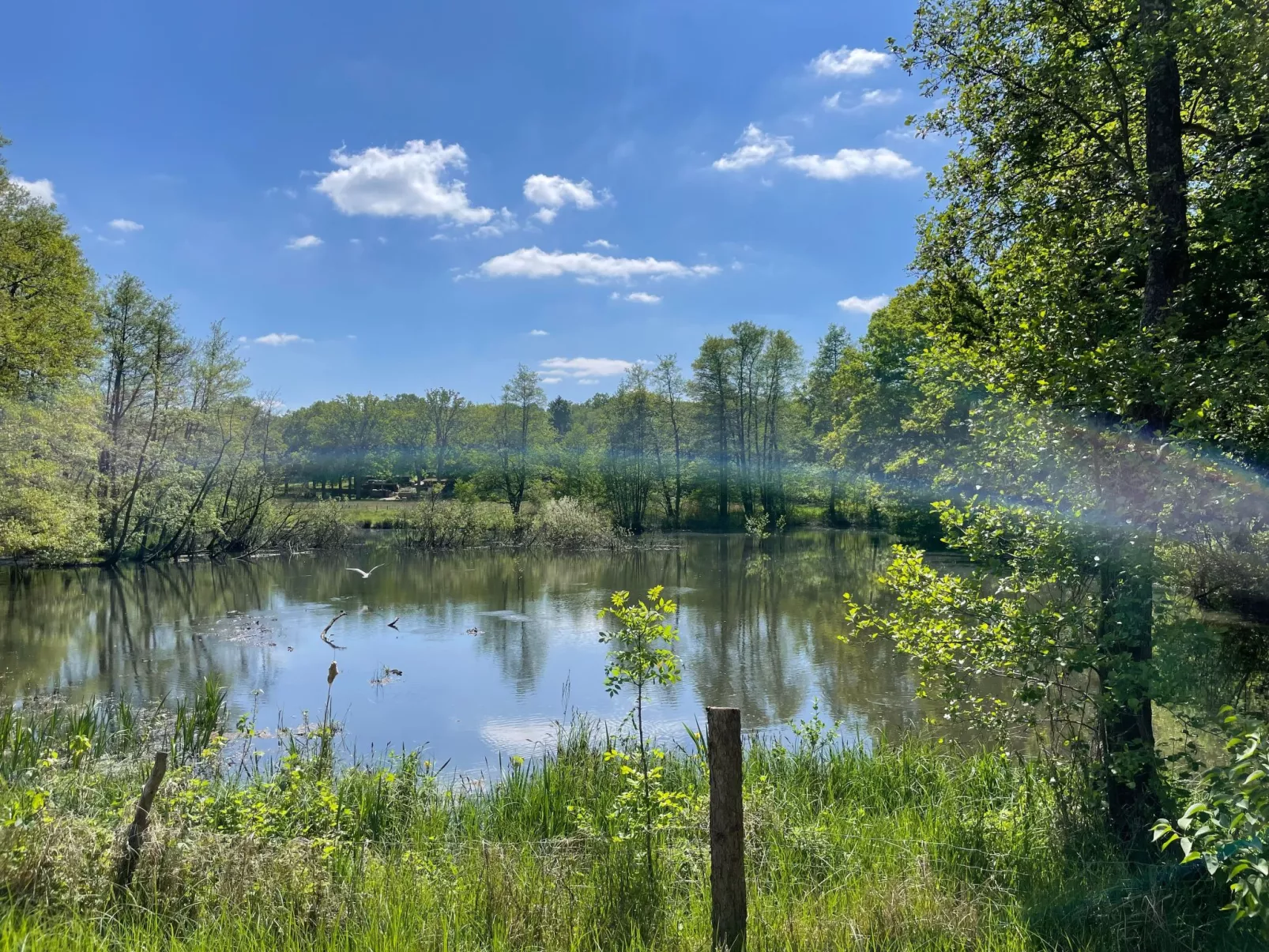 Mühlenkate-Image-tags.info