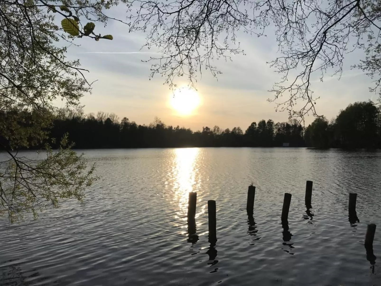 Ambiente in Homberg ot Welferode