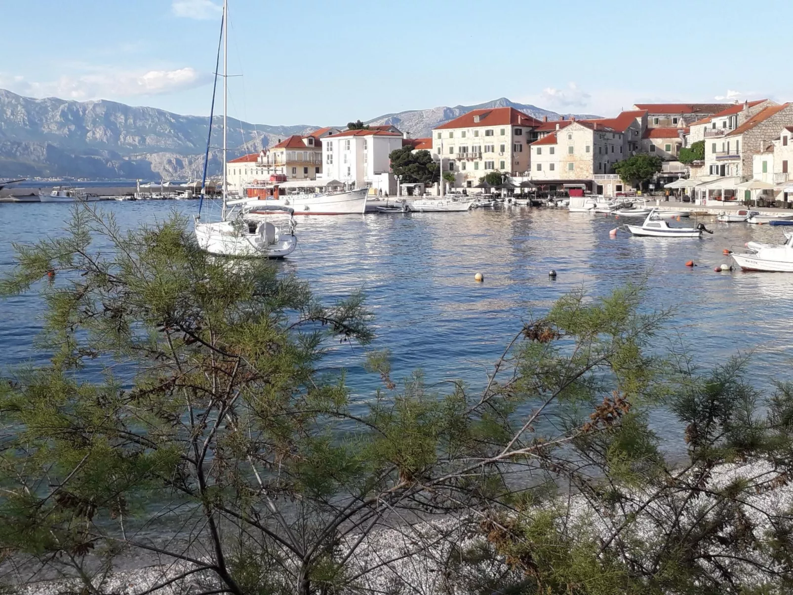 Wohnung „Zitronenbaum Postira“-Draußen