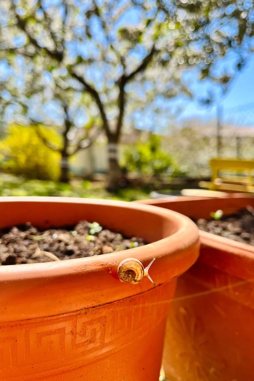 Neugebaute Wohnung im Erdgeschoss