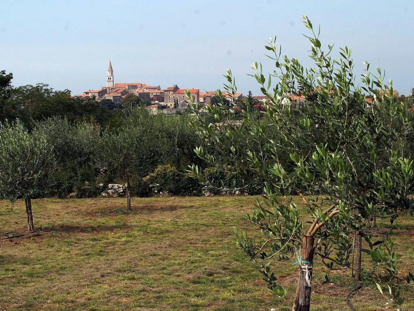 Ferienvilla mit Garten, Grill und Terrasse-Draußen
