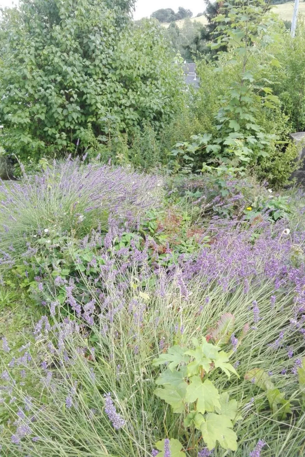 Im Thüringer Wald mit Grill und Garten-Outside