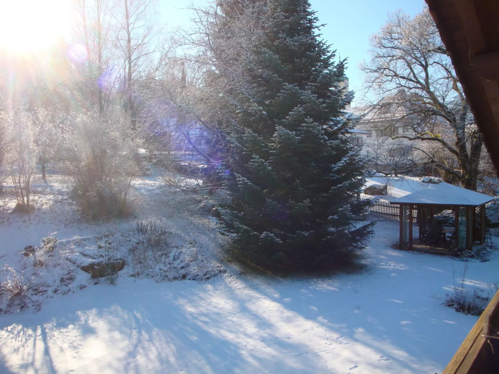 Seitz 1 in Bayerisch Eisenstein