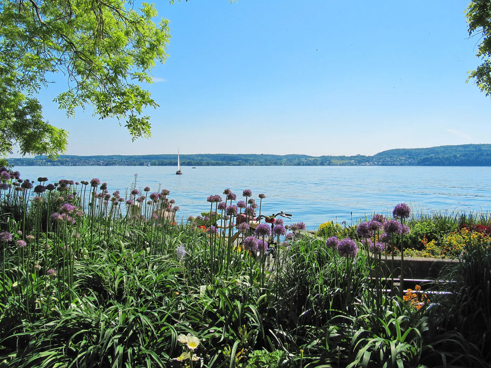 3-Zimmer-Fewo mit herrlichem Seeblick-Umgebung