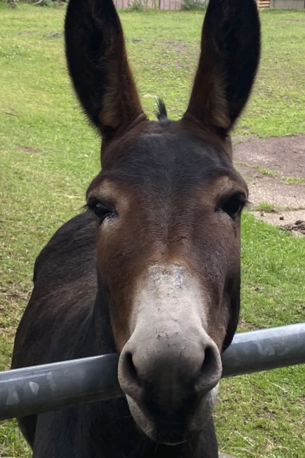 Scheunen Nest-Draußen