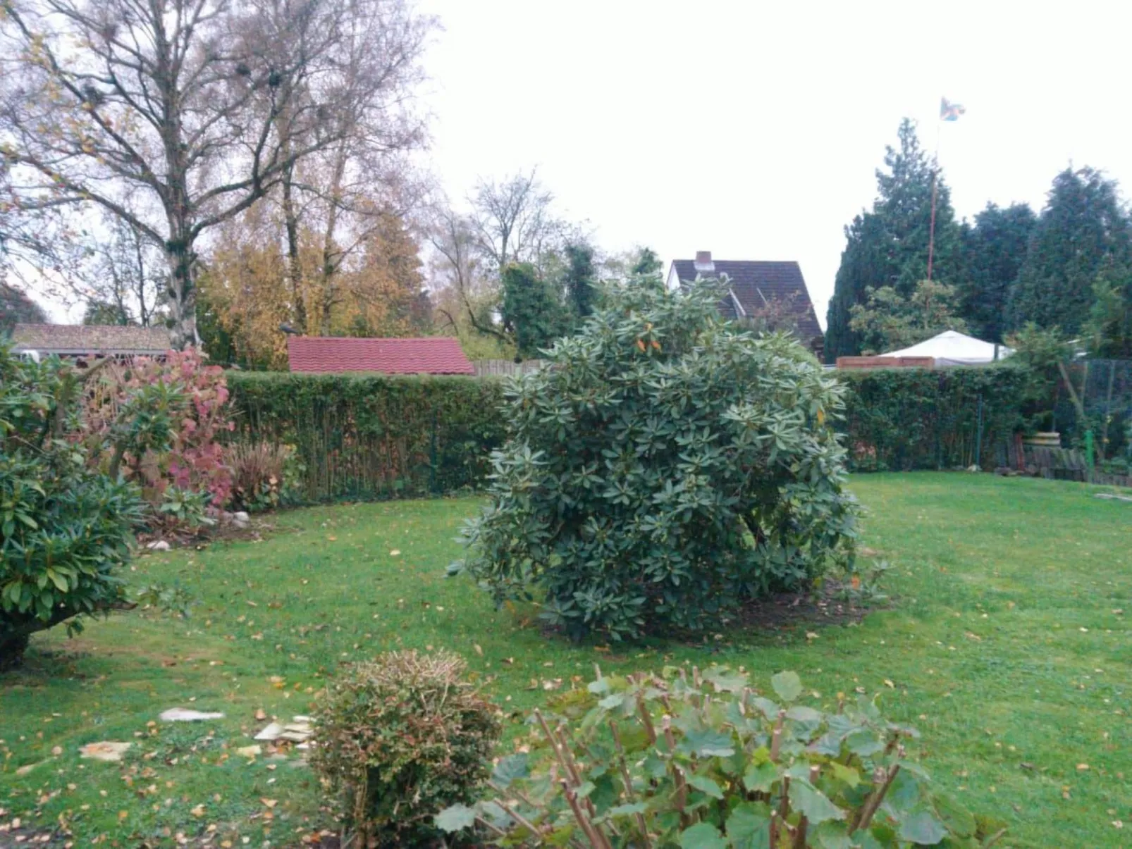 Erholung pur: Nordsee-Urlaub mit Hund