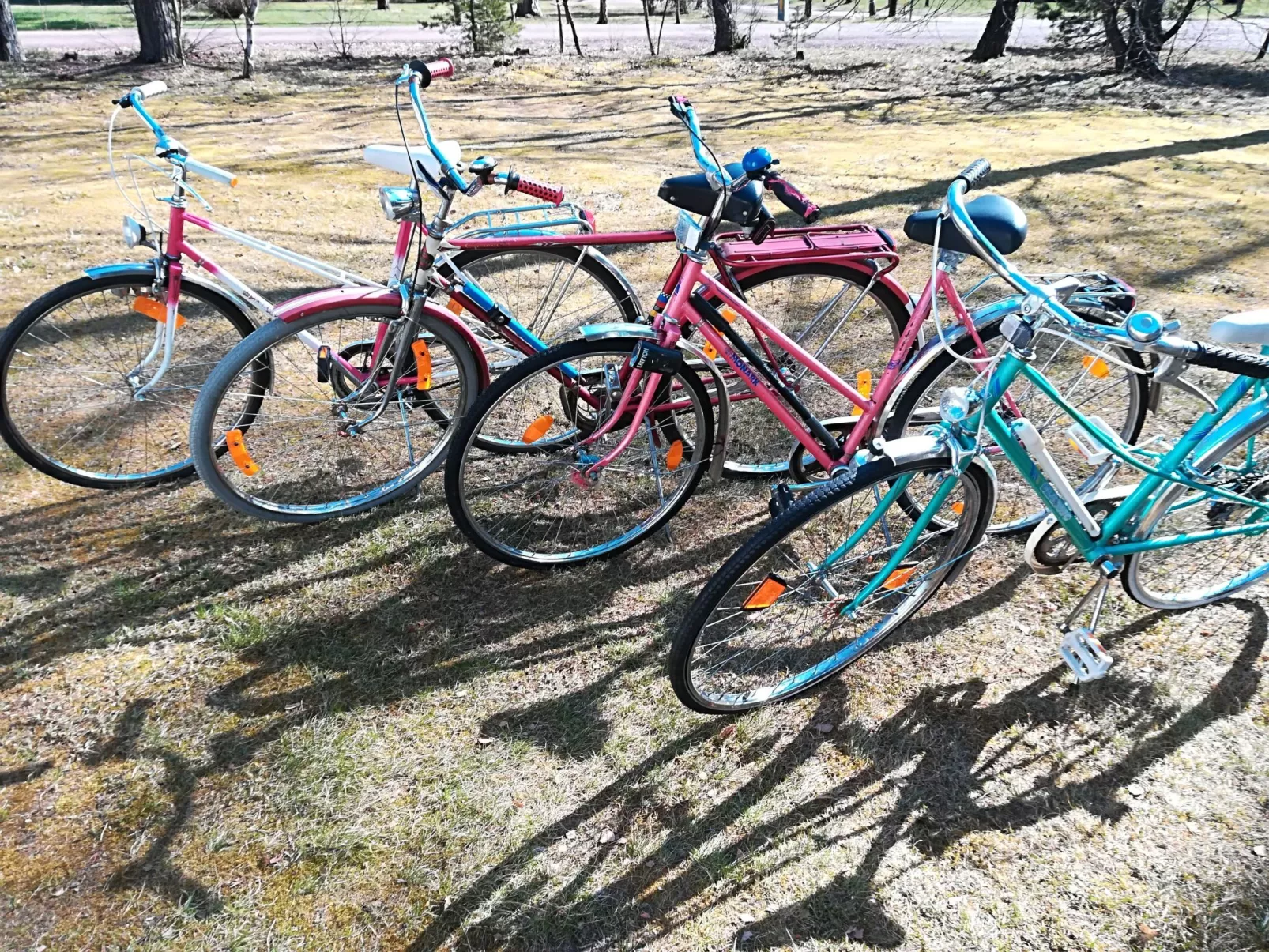 Idyllisches Ferienhaus in ruhiger Lage-Dehors