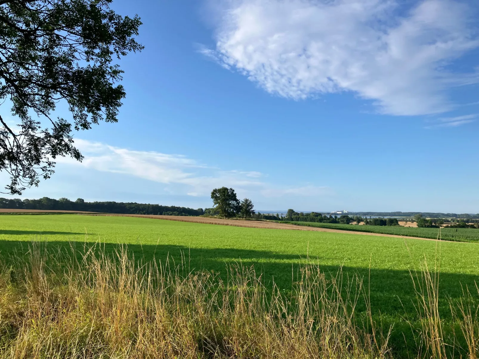 Wohnung Haus mit Herz in Brodersby-Schönhagen