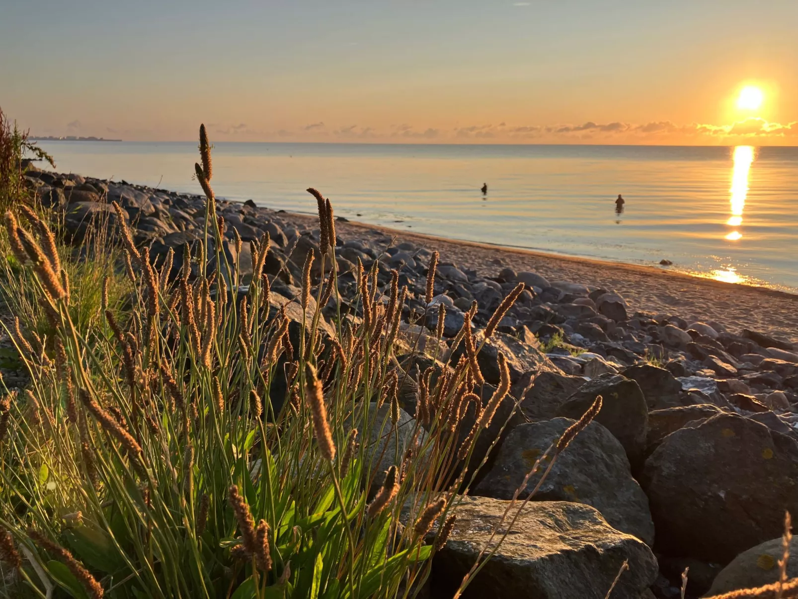 Gemütliche Ferienwohnung in Brodersby-Schönhagen