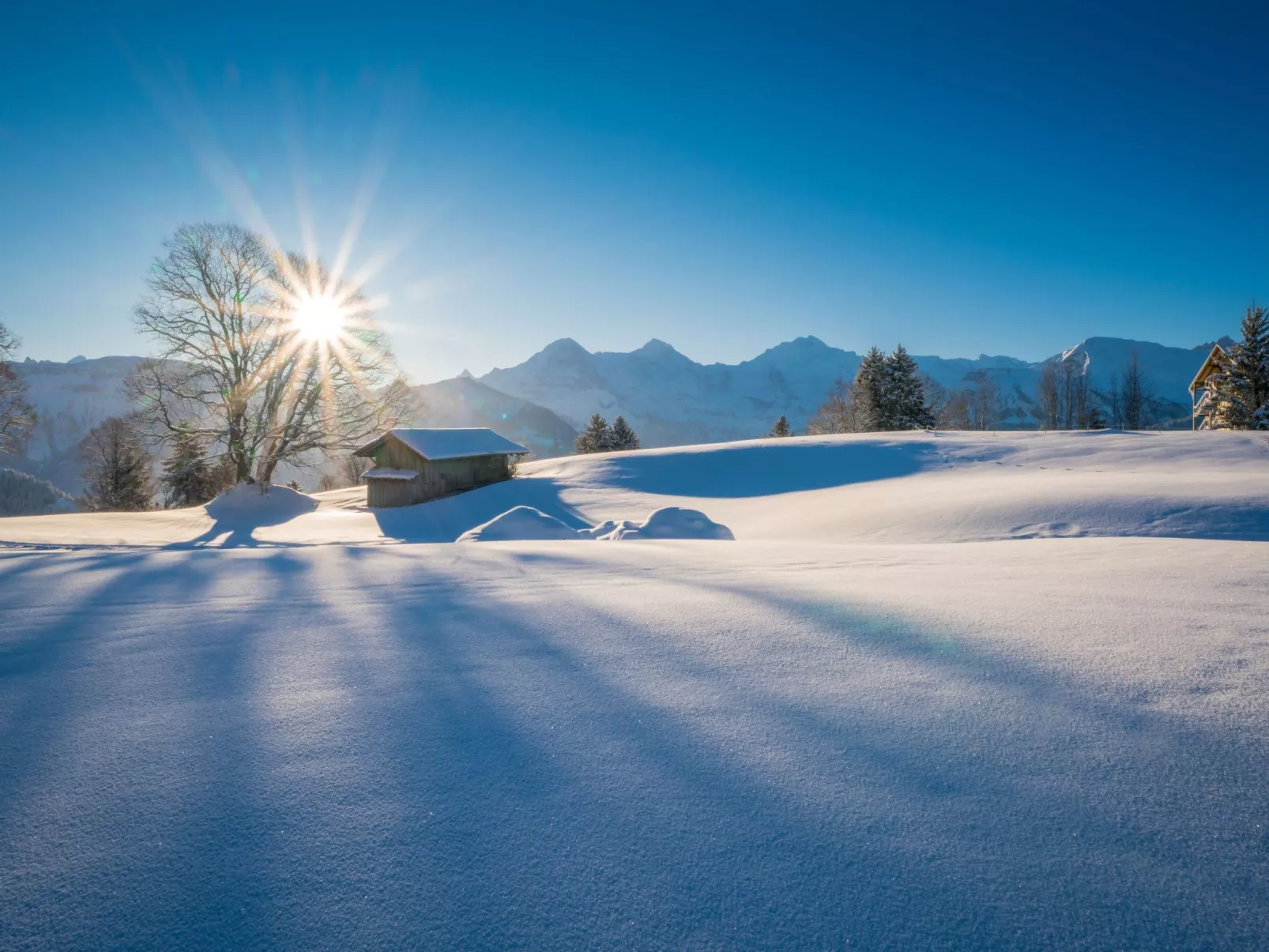 Wohnung Edelweiss direkt in 4 Sterne Hotel