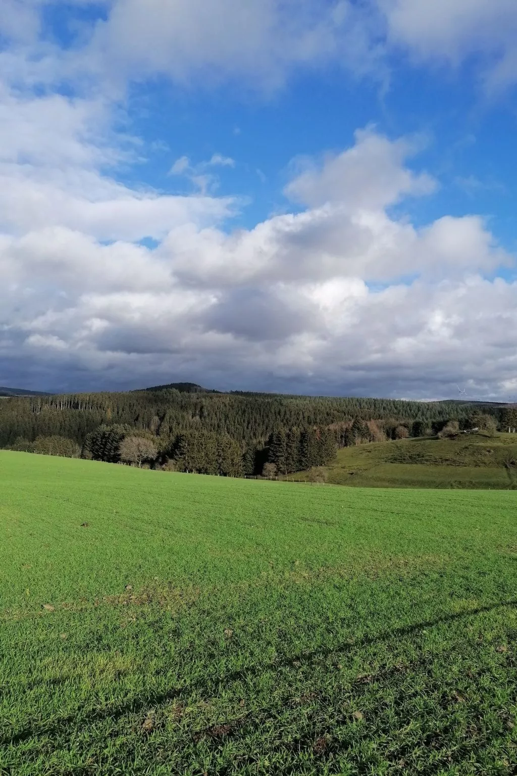 Appartement mit Terrasse