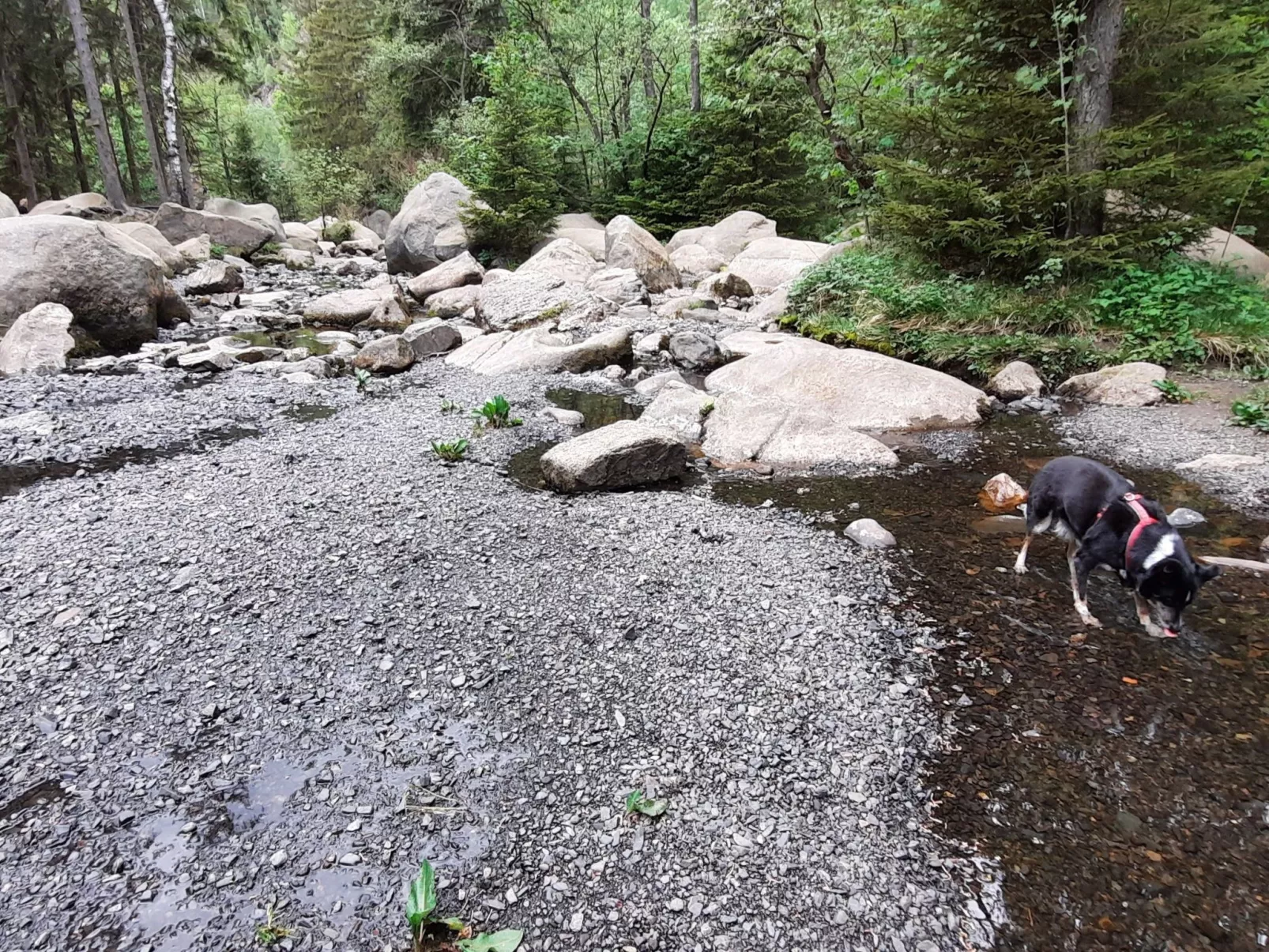 Villa Silberborn A.9