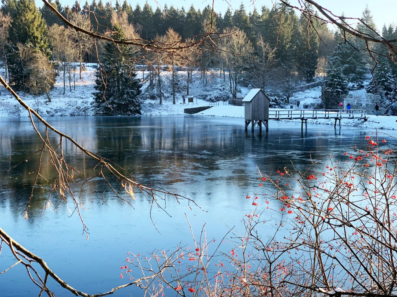 Ferienwohnung mit Infrarotwärmekabine-Draußen