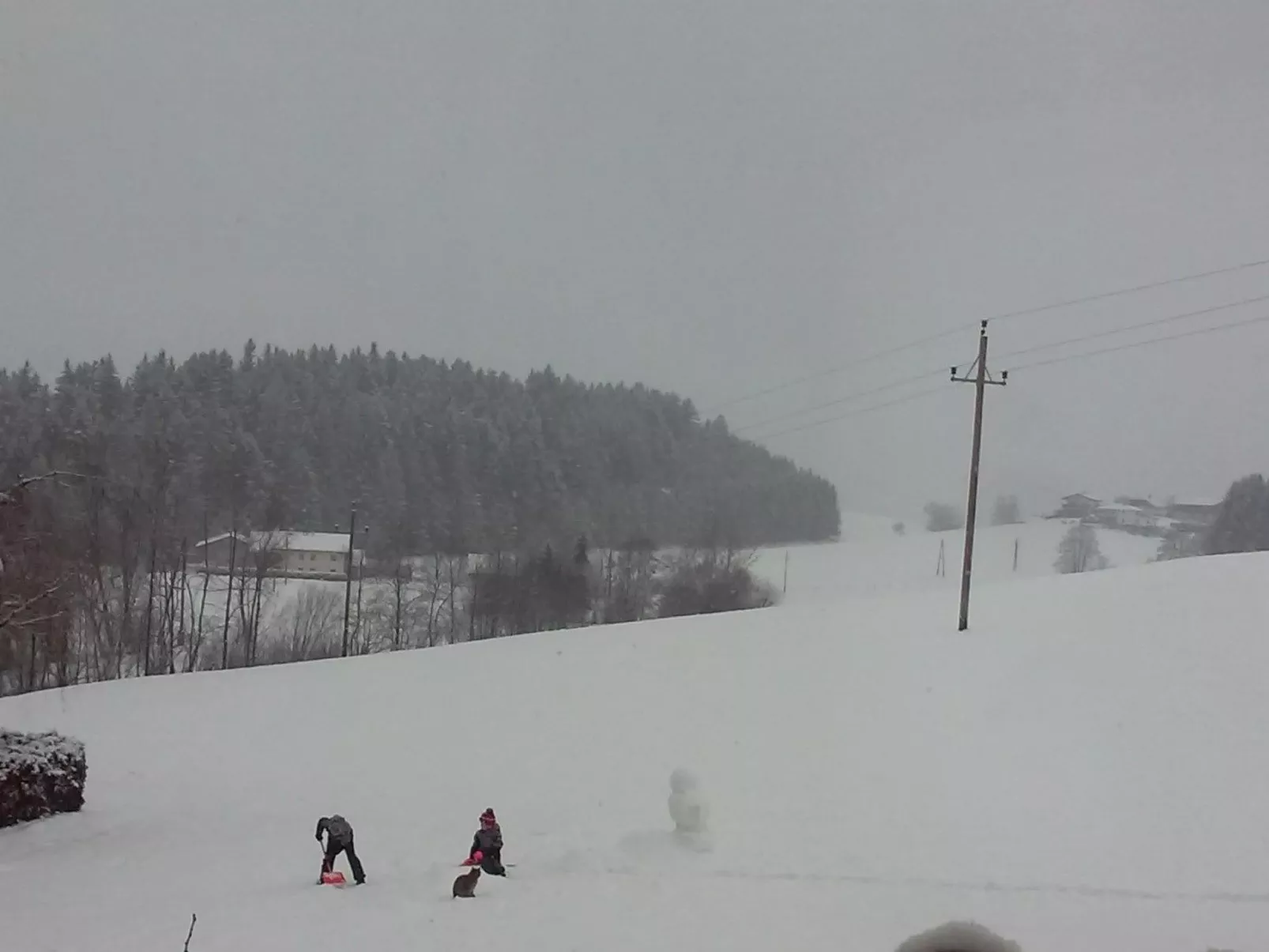 Gsenger Natur in Abtenau-Image-tags.info