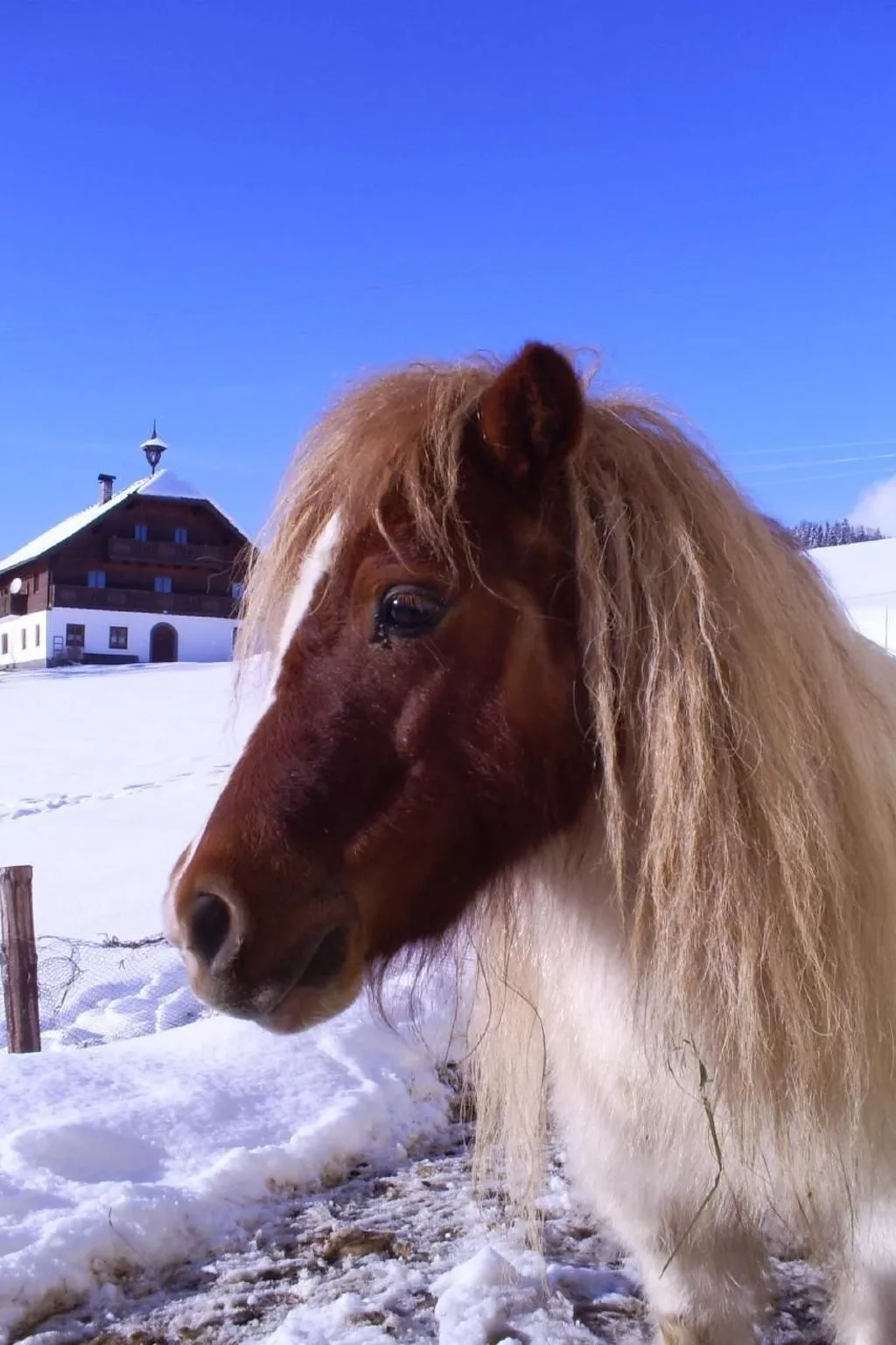 Herbst in Abtenau-Image-tags.info