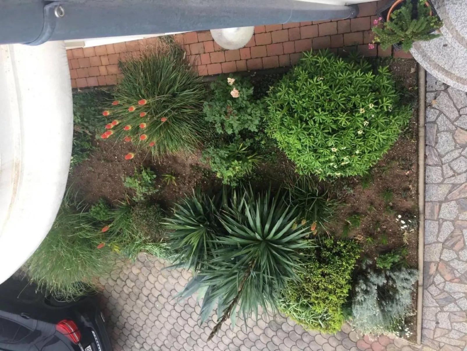 Erdgeschoss-Apartment A2