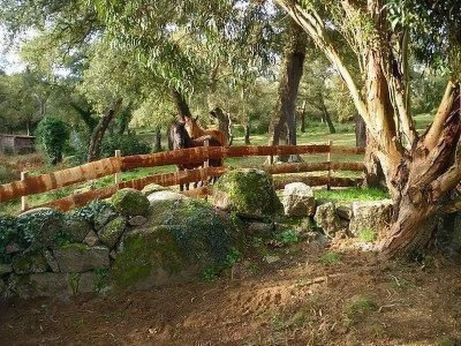 Wunderschönes Ferienhaus mit eigener Terrasse