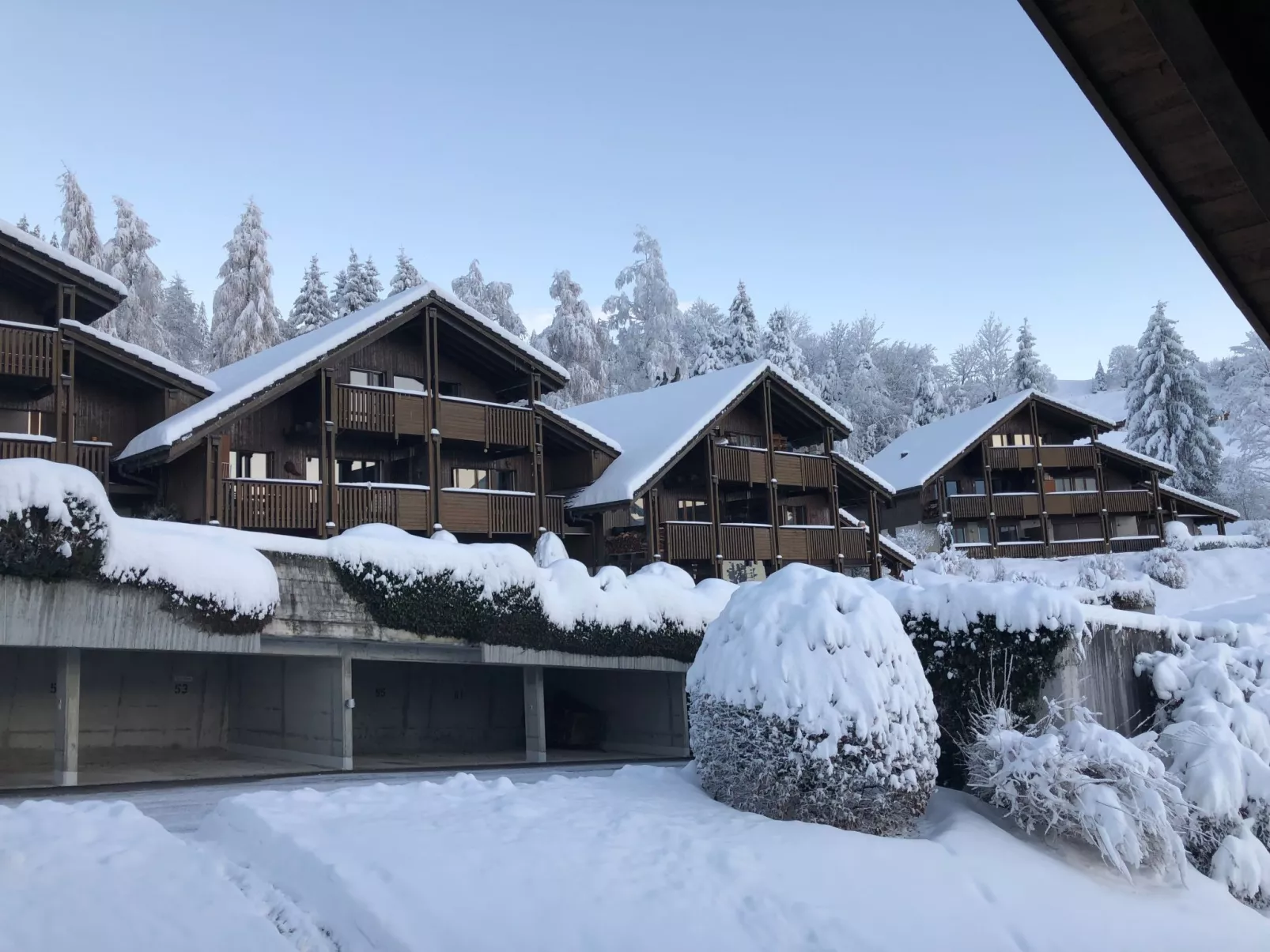 Sunny retreat-Outside