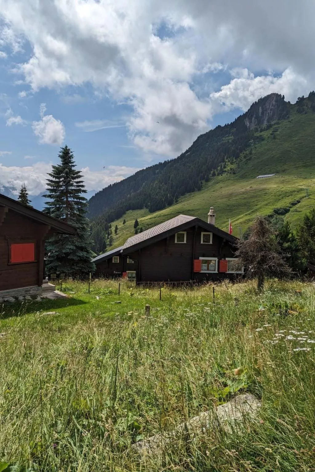 Chalet Walker auf der Riederalp-Image-tags.info